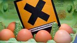 Dioxin-Eggs-Germany