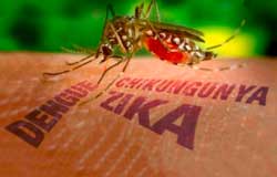 VIRUS ZIKA